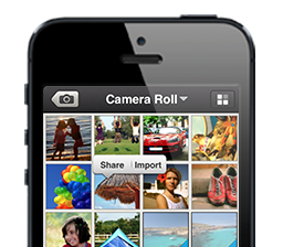 Secure. Organize. Sync.