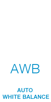 Automatic White Balance